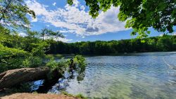 08-210602_Schlachtensee-002