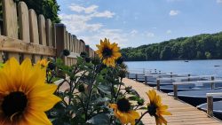 09-210602_Schlachtensee-003