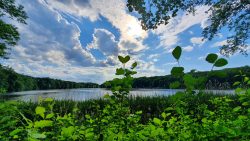 11-210602_Schlachtensee-005