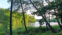 13-210602_Schlachtensee-007