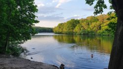 14-210602_Schlachtensee-008