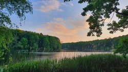 15-210602_Schlachtensee-009