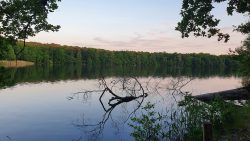 16-210602_Schlachtensee-010