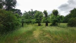 Wanderung nach Sacrow