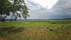 Wanderung nach Sacrow