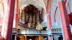 200912 Möpse in Brandenburg-006