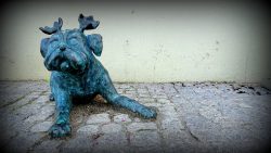 200912 Möpse in Brandenburg-008