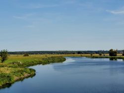 Die Elbauen auf dem Weg nach Havelberg