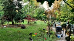 Der Garten des Gutshofs in Hohenberg Krusemark am Morgen