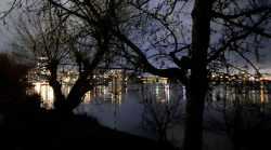 Das Ufer der Insel Eiswerder, Heilig Abend 2020