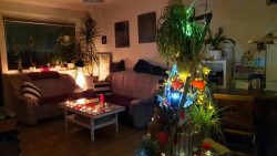 Meine Weihnachtsdeko 2020