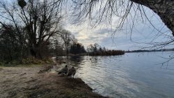 Havelrunde am 26. Dezember 2020