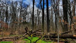 Sacrow April 2021 - 2