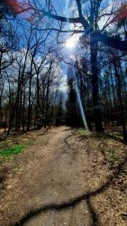 Sacrow April 2021 - 3