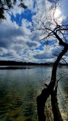 Sacrow April 2021 - 4