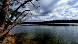 Sacrow April 2021 - 5