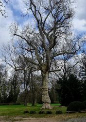 Sacrow April 2021 - 6