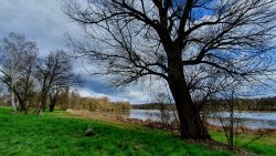 Sacrow April 2021 - 11