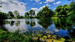 Spandauer Schifffahrtskanal vom Saatwinkler Damm