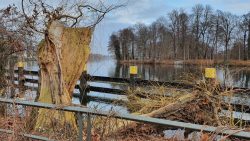 210117_Zitadelle_Rundgang-001