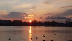 Havelrunde am 26. Januar 2021