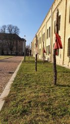 210126_Zitadelle-010