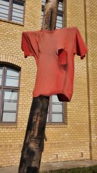 210126_Zitadelle-011