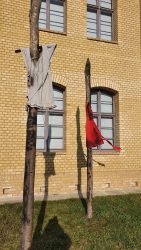 210126_Zitadelle-012