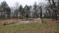 210228_Wanderung_Eiche_Bornstedt_Potsdam-009