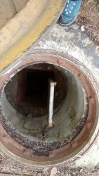 210228_Wanderung_Eiche_Bornstedt_Potsdam-010