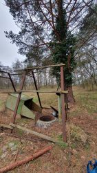 210228_Wanderung_Eiche_Bornstedt_Potsdam-011