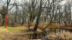 Parkanlage Schloß Genshagen mit Kunstobjekt