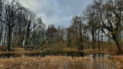 Schloßpark Genshagen, Teichblick