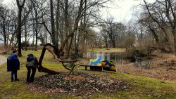 Sitzkunst im Schloßpark Genshagen