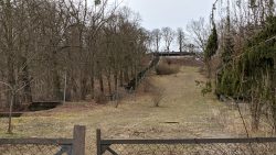 210320 Werder Petzow-005