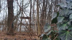 210320 Werder Petzow-026