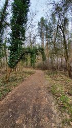 210320 Werder Petzow-063