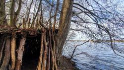 210322_Hakenfelde_Mauerweg-007