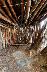 210322_Hakenfelde_Mauerweg-008