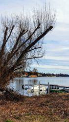 210322_Hakenfelde_Mauerweg-013