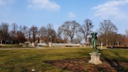 Diane sonnt sich im Wröhmännerpark