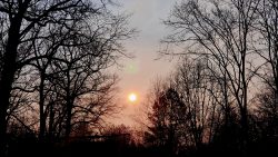 Havelblick von der Bundesstraße