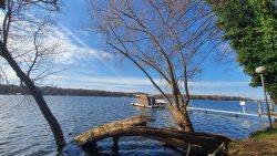 210329 Wanderung Wunderlauch Suche-002