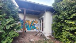 210329 Wanderung Wunderlauch Suche-005