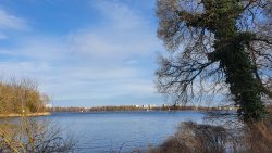 210329 Wanderung Wunderlauch Suche-006