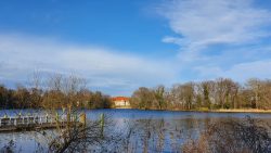 210329 Wanderung Wunderlauch Suche-007