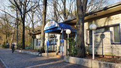 210329 Wanderung Wunderlauch Suche-008