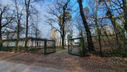 210329 Wanderung Wunderlauch Suche-009