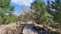 Abenteuerwald Wünsdorf