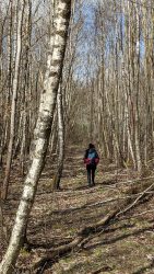 Abenteuerwald Wünsdorf